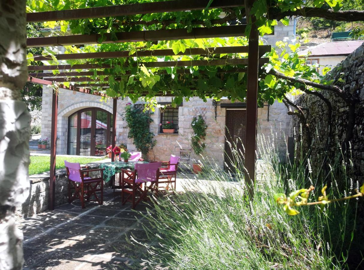 Guesthouse Lucas Zagori Εξωτερικό φωτογραφία